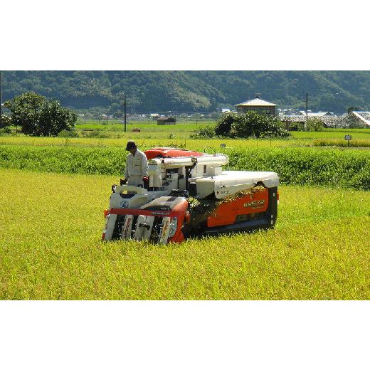 ふるさと納税 福井県 越前市 特別栽培 越前市産ミルキークイーン 5kg