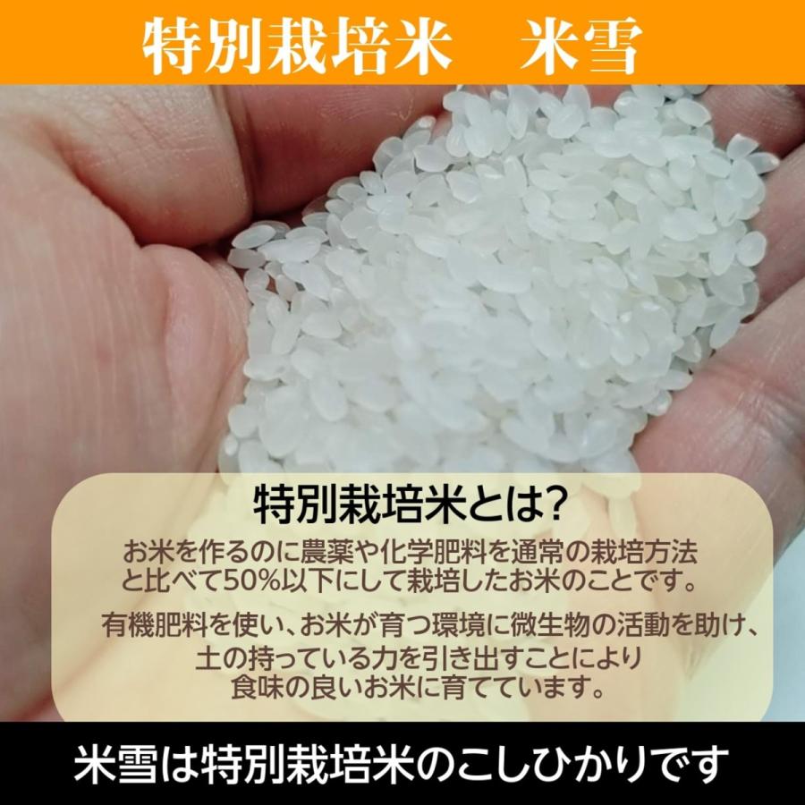 米 プレミアム米 米雪 4kg （2kg×2袋） 福島県桑折町 プレミアムライセンスクラブ こしひかり コシヒカリ コメ 特別栽培米 福島県産