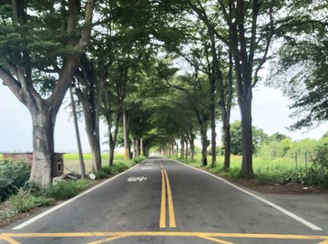 ⭕️新港⭕️香藝館旁農地E021｜嘉義縣新港鄉新嘉段