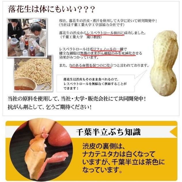 2023年度産 新豆 素煎（千葉半立）400g 千葉県八街産落花生