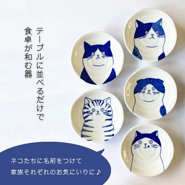 現貨 日本美濃燒 貓奴必收 喵~SHICHITA 16cm 圓盤 陶瓷盤 貓咪圓盤 點心盤 水果盤  甜點盤 日本進口