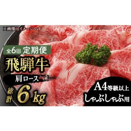 ふるさと納税 飛騨牛A4等級以上 ロース 肩ロース しゃぶしゃぶ用 1kg  和牛 ブランド牛 焼肉 国産  [TAZ028] 岐阜県多治見市