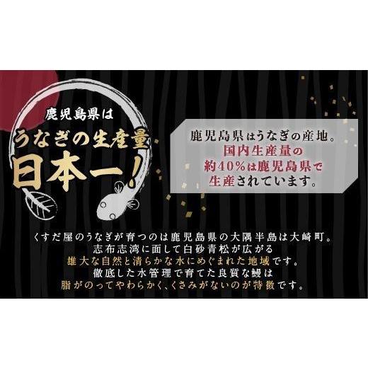 ふるさと納税 鹿児島県 大崎町 くすだ屋の鰻2尾_170g×2