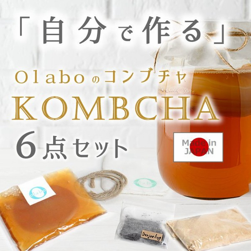 コンブチャ キット スコビー スコービー 紅茶キノコ 紅茶きのこ 株 こんぶ茶 Scoby 6点set コンブチャ スタートキット By Olabo 返品交換不可 通販 Lineポイント最大0 5 Get Lineショッピング