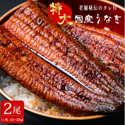 ふるさと納税 松江市 うなぎ蒲焼2尾(蒲焼のタレ付)