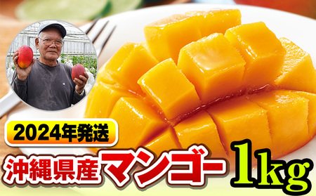 濃厚な甘さ！とろける食感！沖縄県産マンゴー1kg