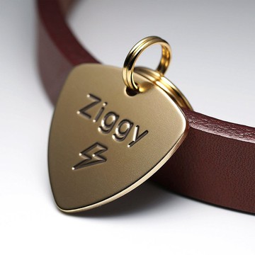 吉他撥片狗牌 貓狗用寵物名牌 / 客製化 / 防走失