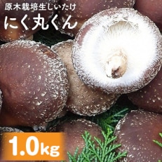 熊本県人吉市産　原木栽培生しいたけ「にく丸くん」約1kg