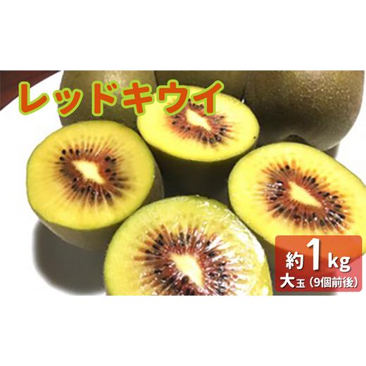 ふるさと納税 茨城県 鉾田市 レッドキウイ（大玉）　約1kg　9〜12個前後