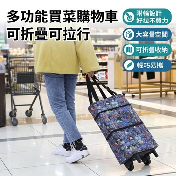 【臺灣有貨】菜籃車 買菜車 購物車 承重20kg 菜籃推車 折疊購物車 買菜拉車 買菜推車 拉桿購物車 推車