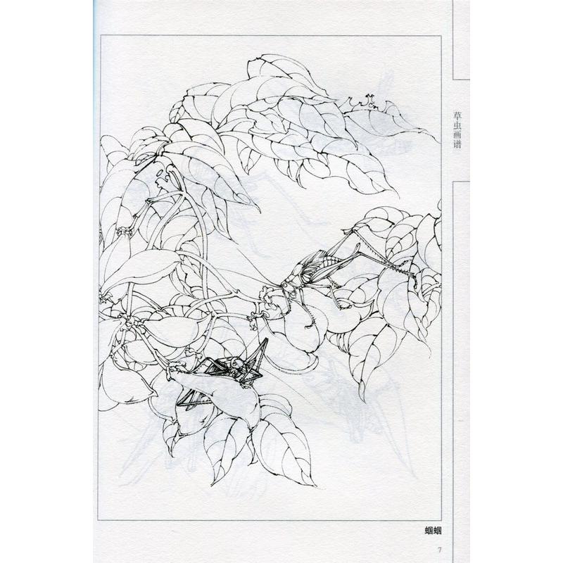 草虫画譜　中国画線描　大人の塗り絵　中国絵画 草虫画#35889;　中国画#32447;描