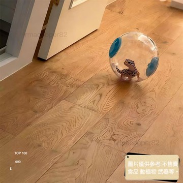 蜥蜴專用玩具遛龜神器遛烏龜用品跑球互動玩具豹紋守宮小烏龜滾球