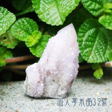 仙人掌水晶32號(Cactus Quartz)