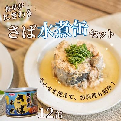 ふるさと納税 松浦市 さば水煮缶セット(12缶)