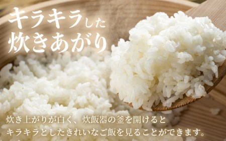 定期便≪6ヶ月連続お届け≫あきさかり 10kg × 6回 令和5年 福井県産 コシヒカリ系統品種 [e30-f003]