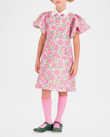 Girl's Rose-Print Balloon Sleeve Dress, Size 3T-12