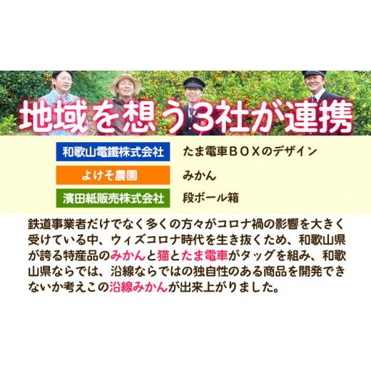 ふるさと納税 和歌山県 紀の川市 沿線みかん 約5kg 和歌山電鐵株式会社《10月下旬-2024年1月上旬頃より発送予定》和歌山県 紀の川市 フルーツ 果物 みかん 柑…