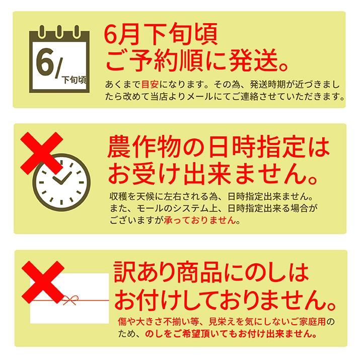 さくらんぼ 佐藤錦 or 紅秀峰 1kg バラ詰め 山形 訳あり サクランボ 取り寄せ 家庭用  送料無料 2024 山形県産