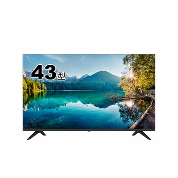 TATUNG大同 43型 液晶顯示器 /台 TA-ST43A50【領券滿額再折千12/31止】