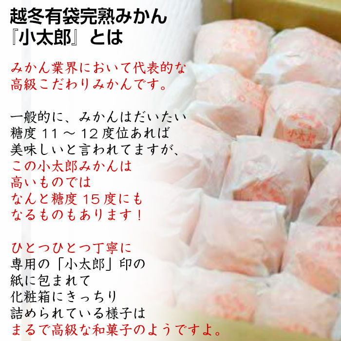 [予約 1月5日-2月28日の納品]  味ピカ 小太郎 2kg 化粧箱 小玉 越冬有袋 愛媛県西宇和 JAにしうわ ギフト 袋がけみかん