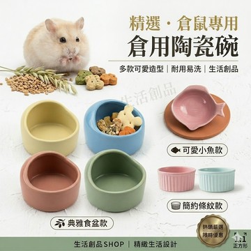 【實體店面現貨】可愛倉鼠小食盆 陶瓷碗 倉鼠陶瓷碗 倉鼠碗 食盆 倉鼠用品 小寵食盆 小寵陶瓷碗 小倉鼠 布丁鼠