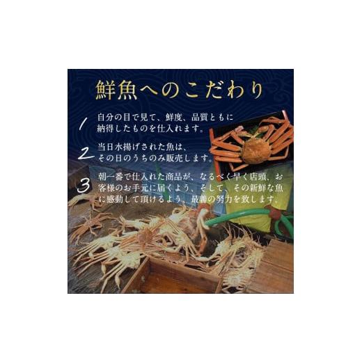 ふるさと納税 鳥取県 北栄町 ５７６．鳥取ブランド　松葉ガニ『五輝星』※2023年11月頃〜2024年3月頃に順次発送予定※着日指定不可