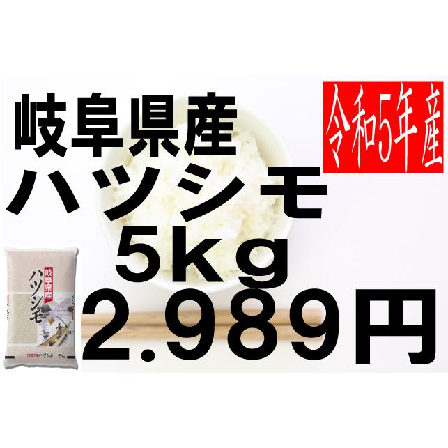 米 令和5年度産 岐阜県産 ハツシモ 5kg