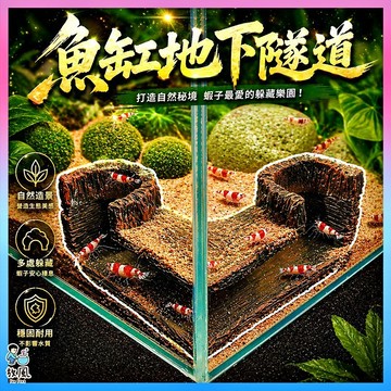 放風水族【魚缸地下隧道】魚缸裝飾 水族裝飾 魚缸 水族 魚缸造景 躲避屋 孔雀魚 水晶蝦 蝦屋 蝦缸 小魚躲藏 造景擺件