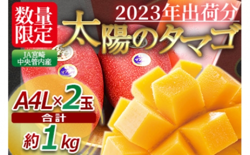 予約受付！数量限定！＜宮崎県産 太陽のタマゴ A等級 4Lサイズ×2玉（合計約1kg）＞2024年4月下旬～6月末迄に順次出荷