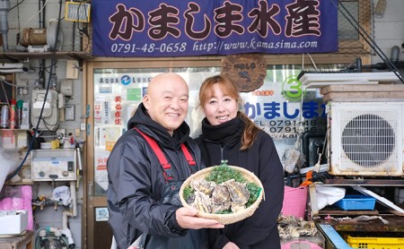 メディアでも話題の生食用カキ！赤穂・坂越湾で育った新鮮な身を厳選(坂越産カキ 生食用 殻付2kg)[ 牡蠣 冬牡蠣