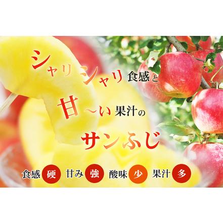 ふるさと納税 No.2419菅野房吉商店　ふくしまのサンふじりんご　5kg 福島県福島市