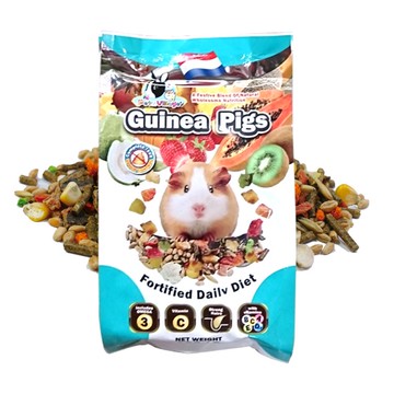 Pet Village 魔法村 天竺鼠天然水果大餐 天竺鼠飼料 鼠 小動物 小寵 毛大二寵物店