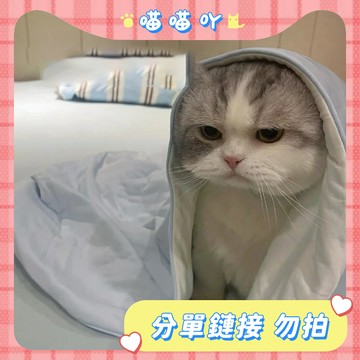 分單連接 請勿隨意下單【下單聯繫客服】