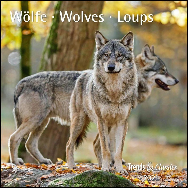 Woelfe Wolves Broschuerenkalender Wandkalender mit herausne