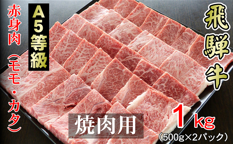 牛肉 飛騨牛 焼き肉 セット 赤身 モモ 又は カタ 1kg 黒毛和牛 Ａ5 美味しい お肉 牛 肉 和牛 焼肉 BBQ バーベキュー 