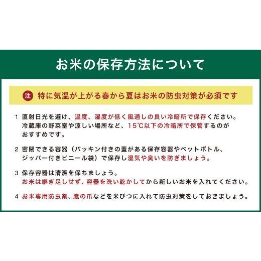 ふるさと納税 大分県 竹田市  大分県産 つや姫 10kg×3ヶ月 計30kg