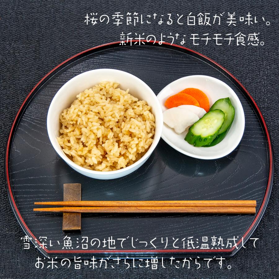 しおざわ米（令和５年産）南魚沼産コシヒカリ　玄米５ｋｇクラフト袋　南魚沼産しおざわ米　送料無料　お歳暮　御年賀　贈り物　熨斗　新米