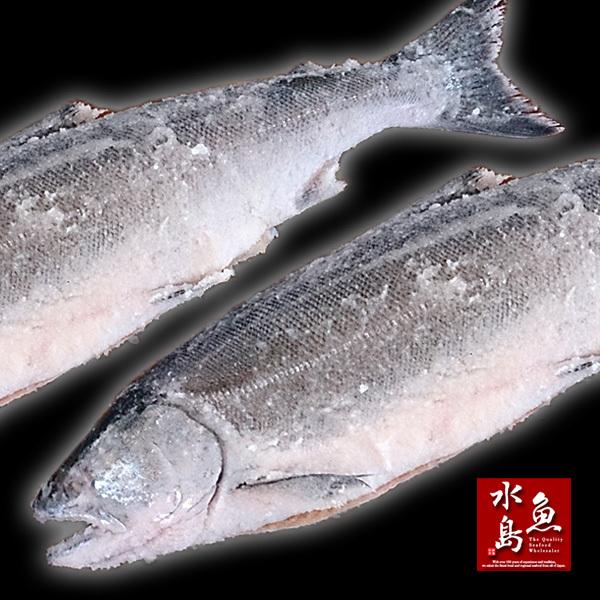 厳選自家製 塩マス（サクラマス 本鱒）1.5〜1.9kg