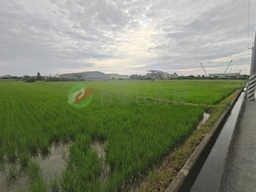 大園區航空城一般農1389(一)｜桃園市大園區沙崙