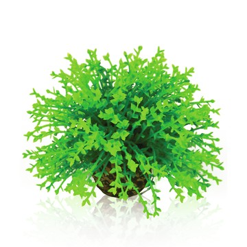 OASE biOrb 綠色仿真花球