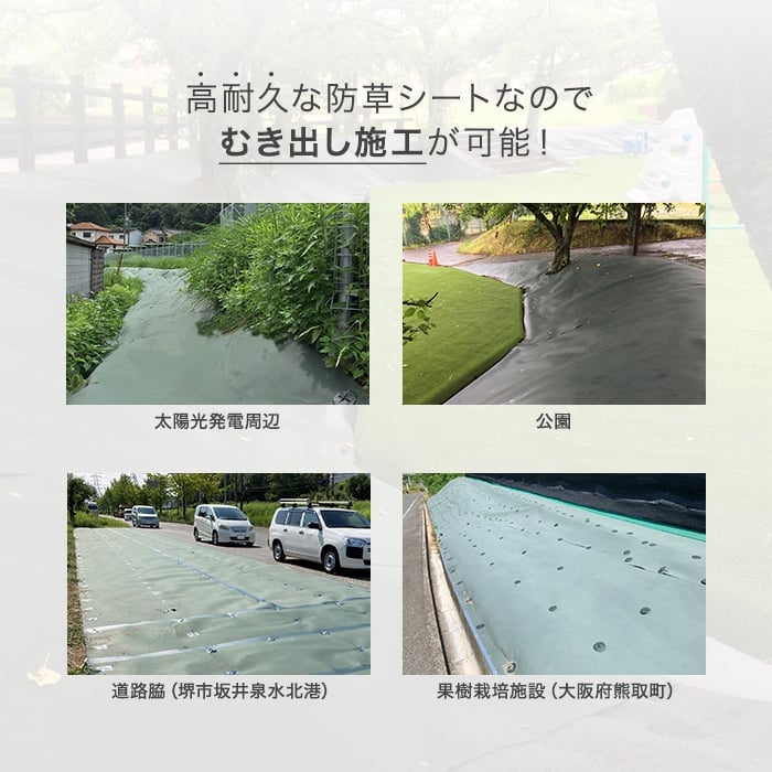 防草シート 谷口産業 植樹防草シートT-1 1m×50m 不織布 300g 平米 1mm厚