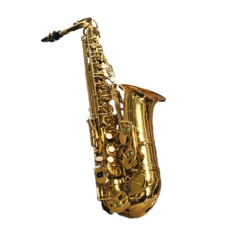 新しい季節 アルトサックス 11点セット E Saxophone ゴールドラッカー