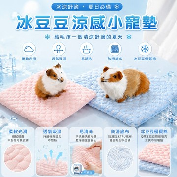 冰豆豆涼感小寵墊 冰絲涼感墊 雲朵般柔軟觸感 冰絲墊 涼墊 兔子 倉鼠 天竺鼠 刺蝟 籠貓 寵物墊 睡墊