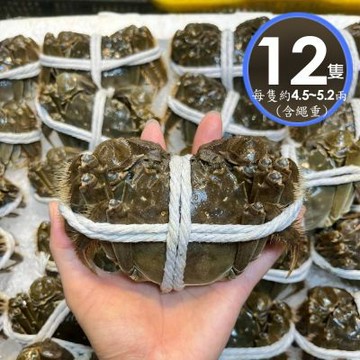 【華得水產】活蟹直送 江蘇大閘蟹12隻 (4.5~ 5.2兩/隻/公蟹 )-預購10月出貨