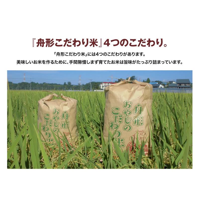 はえぬき新米10ｋｇ（5×2）　山形県産　令和5年産　精白米　送料無料（沖縄離島除く）産直