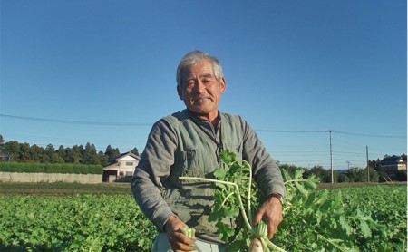 おかげさま農場の野菜のおまかせセット（無化学農薬・肥料栽培）