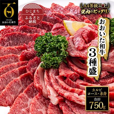 ふるさと納税 日出町 おおいた和牛 焼肉にピッタリ!牛肉の3種盛(カルビ・ロース・赤身)(合計750g)