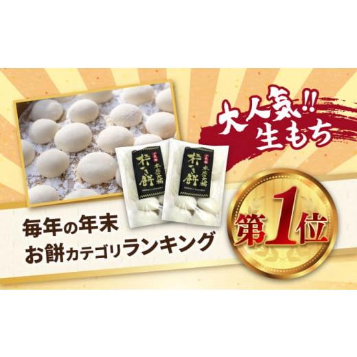 ふるさと納税 福岡県 築上町 築上町産 本格 杵つき 生もち 60個 (10個×6パック)《築上町》 餅 お餅 …