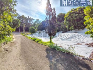 義大世界旁學府路上大面積大面寬權利地｜高雄市仁武區觀音湖段