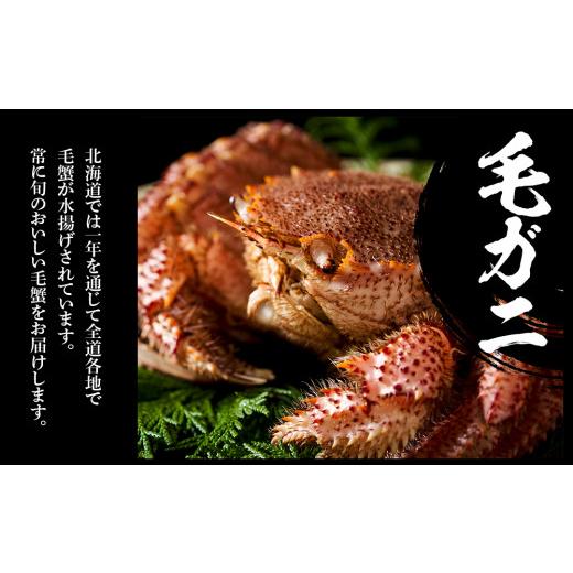 ふるさと納税 北海道 白老町 タラバ脚  毛蟹  ホタテ 食べ比べ セット